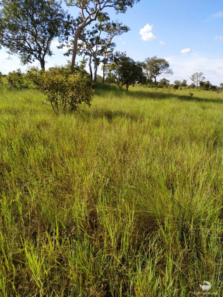 Fazenda à venda com 1 quarto, 78000000m² - Foto 8