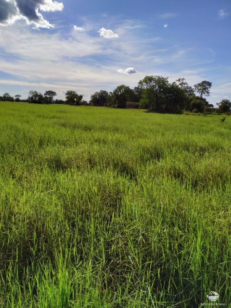 Fazenda à venda com 1 quarto, 78000000m² - Foto 2