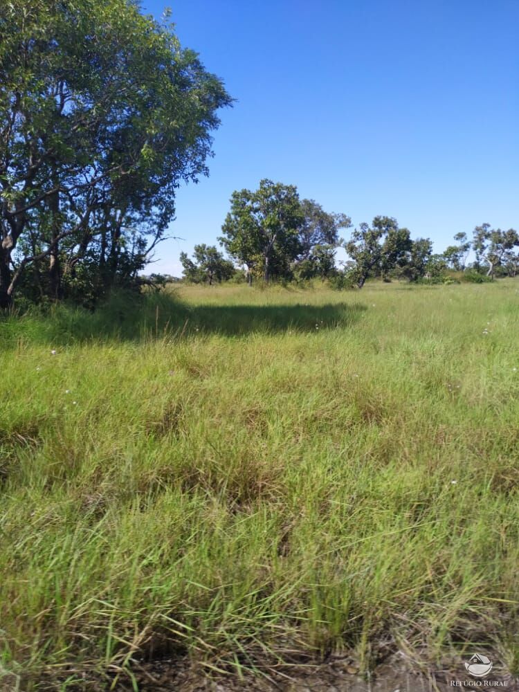 Fazenda à venda com 1 quarto, 78000000m² - Foto 7