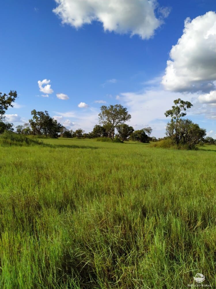 Fazenda à venda com 1 quarto, 78000000m² - Foto 1