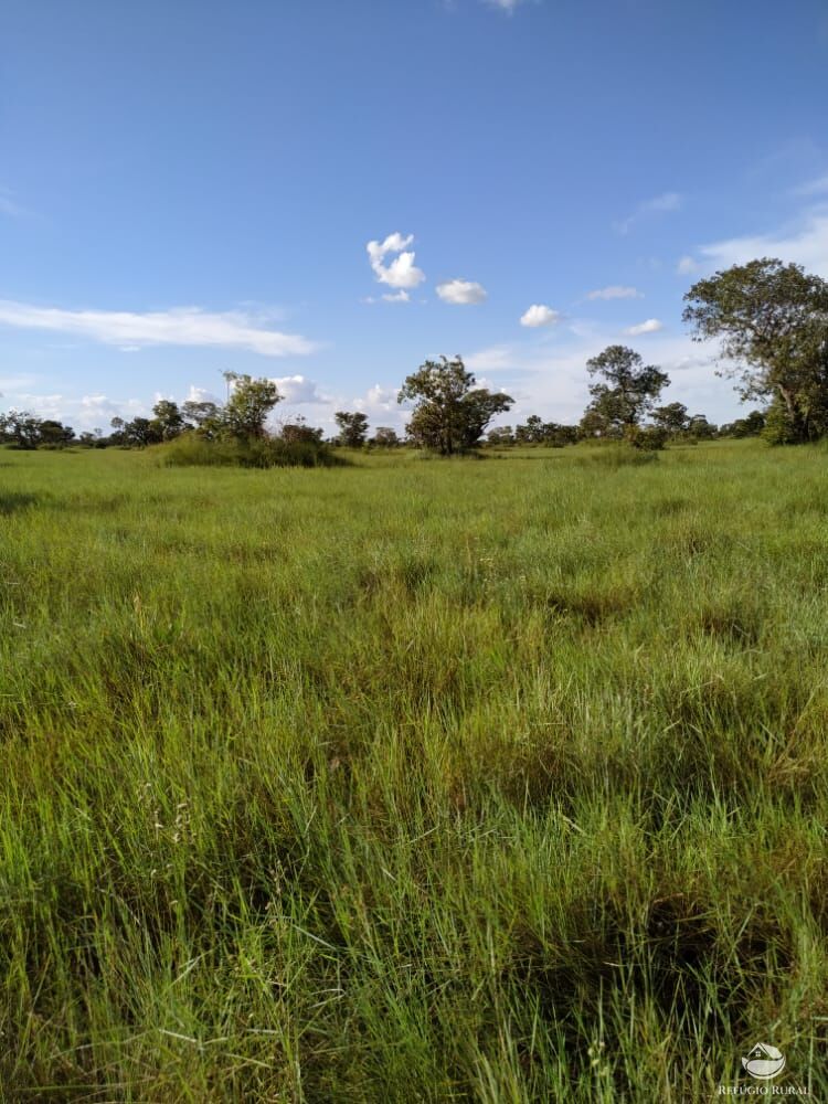 Fazenda à venda com 1 quarto, 78000000m² - Foto 3