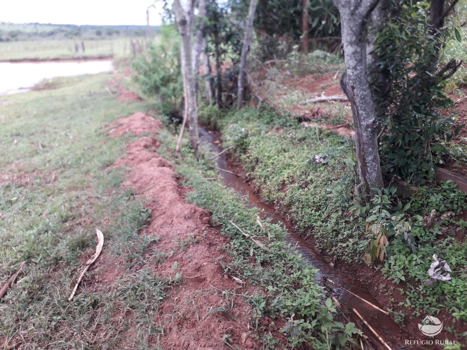 Fazenda à venda com 1 quarto, 145200m² - Foto 8