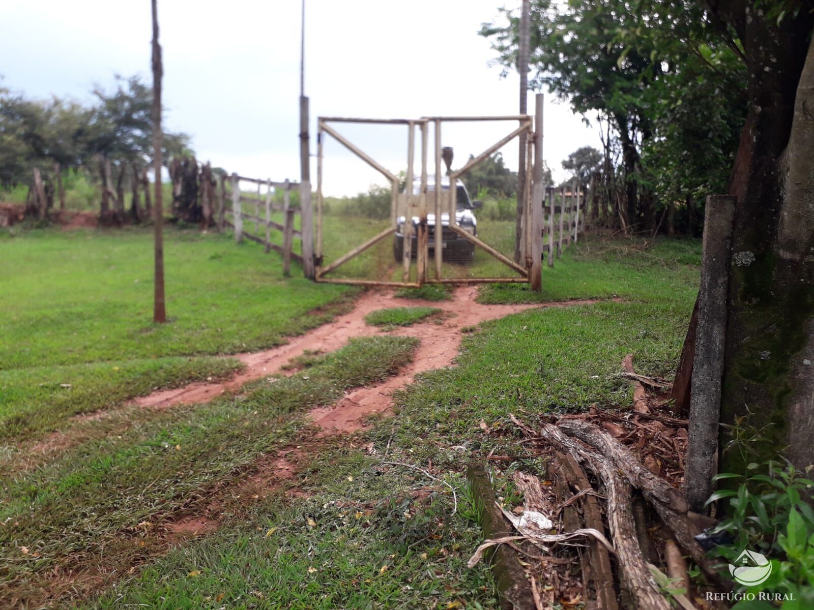 Fazenda à venda com 1 quarto, 145200m² - Foto 9