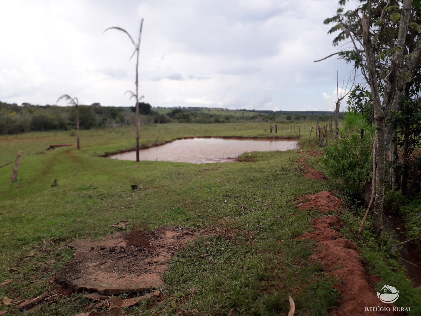 Fazenda à venda com 1 quarto, 145200m² - Foto 4