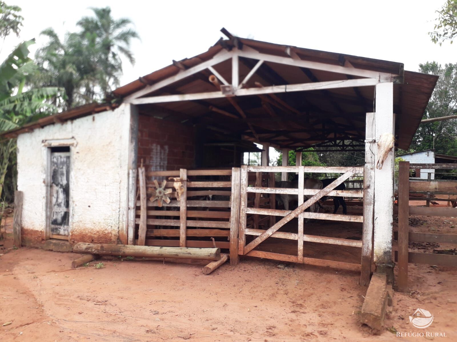 Fazenda à venda com 1 quarto, 145200m² - Foto 7