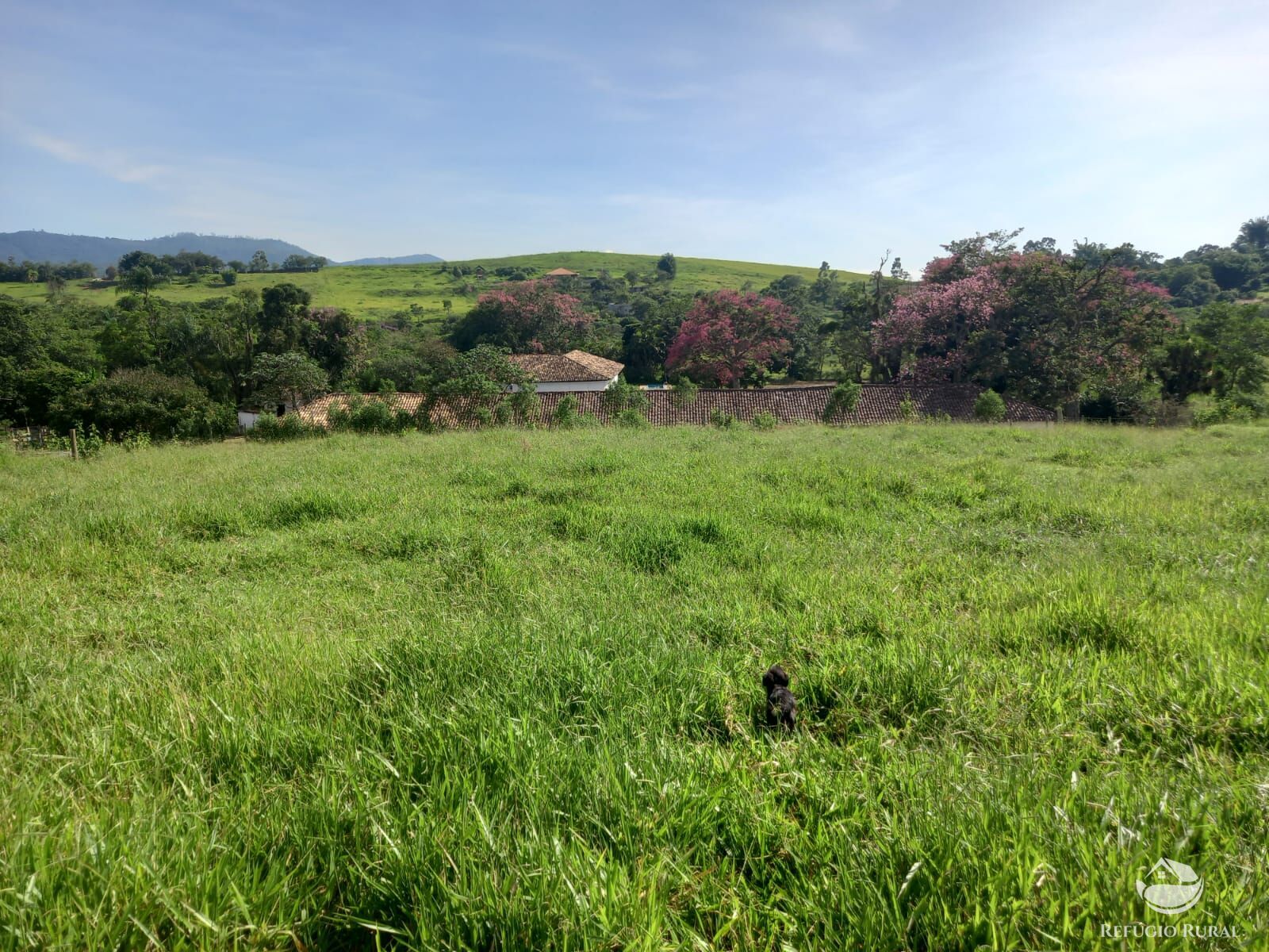 Fazenda à venda com 3 quartos, 338800m² - Foto 33