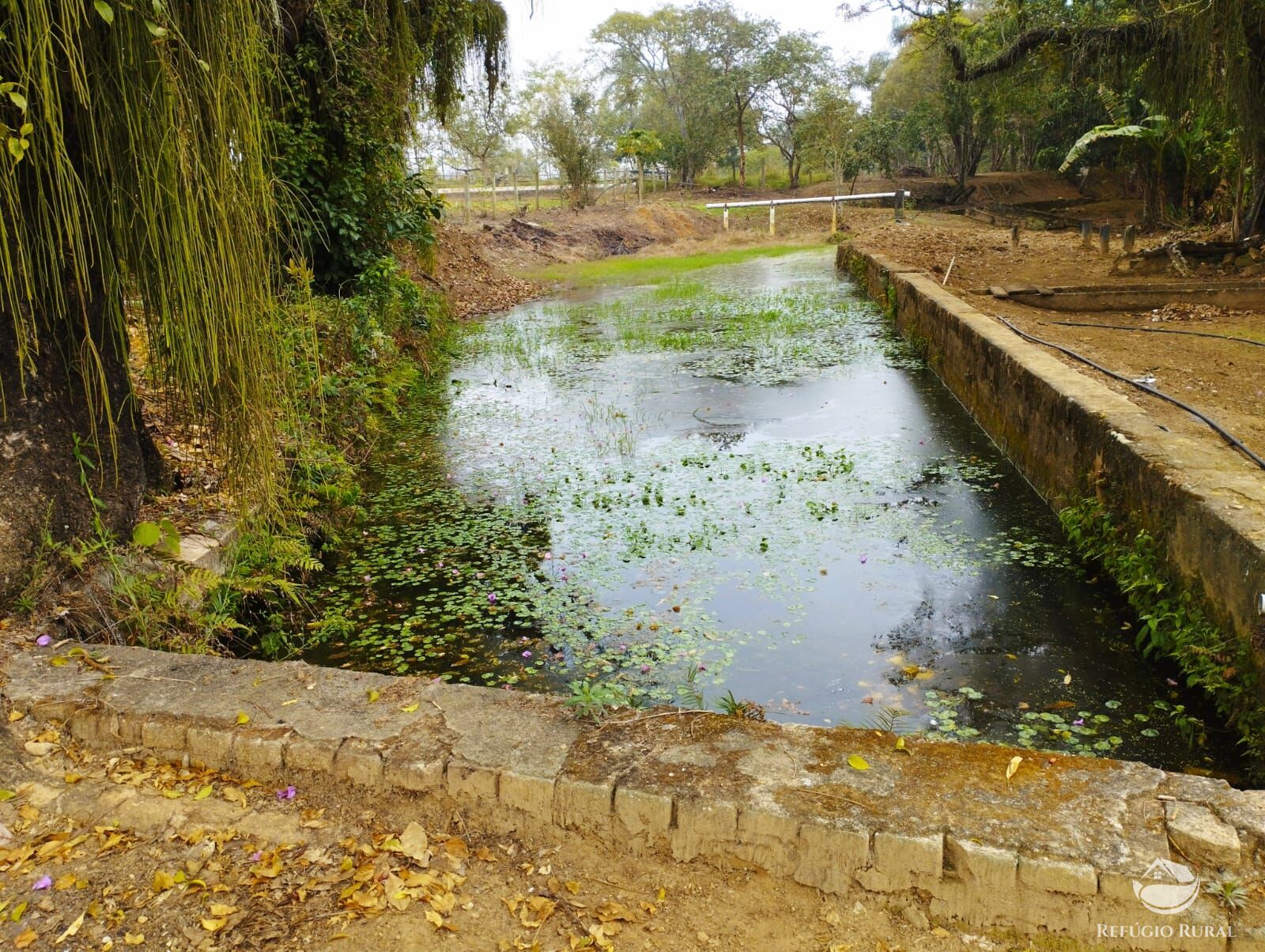 Fazenda à venda com 3 quartos, 338800m² - Foto 41