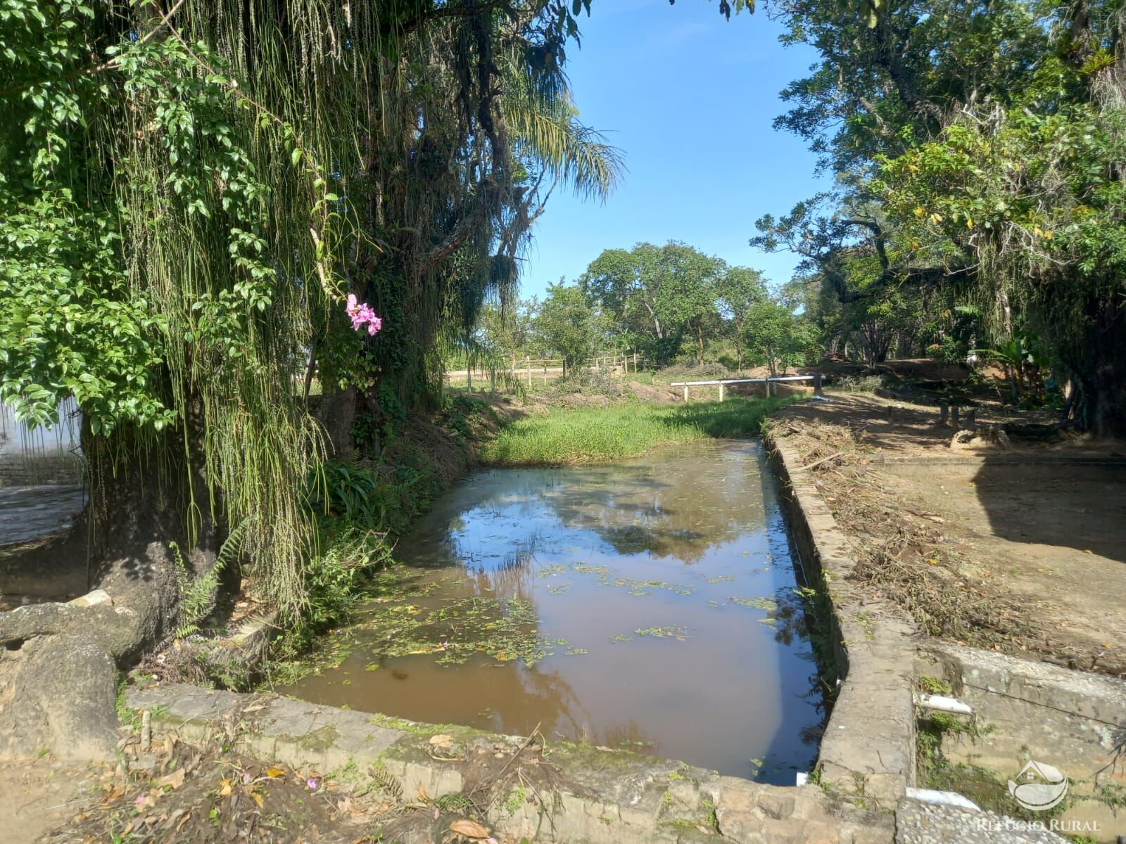 Fazenda à venda com 3 quartos, 338800m² - Foto 8