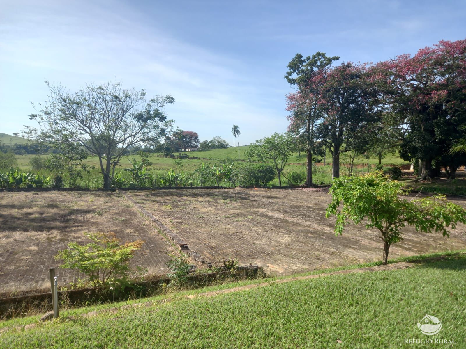 Fazenda à venda com 3 quartos, 338800m² - Foto 11