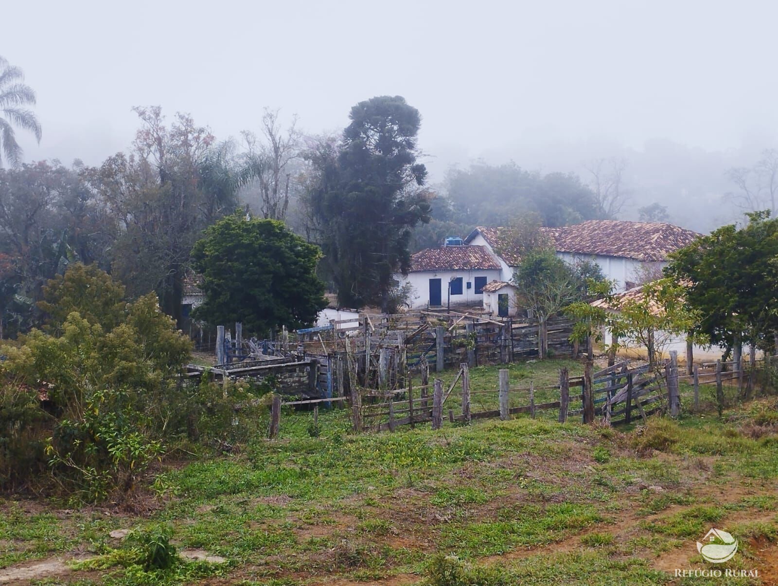 Fazenda à venda com 3 quartos, 338800m² - Foto 5