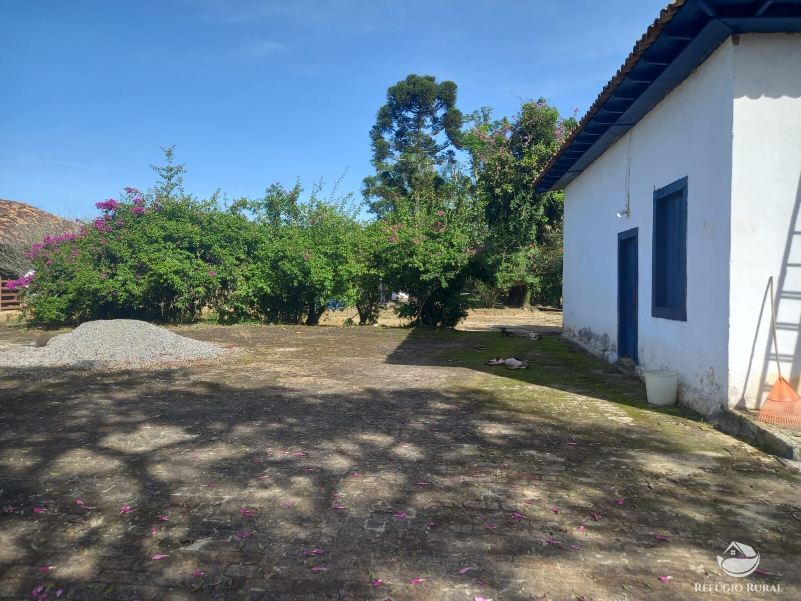 Fazenda à venda com 3 quartos, 338800m² - Foto 20