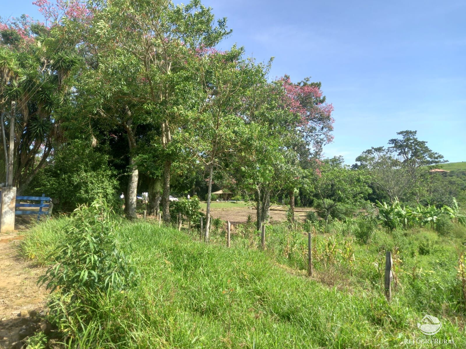 Fazenda à venda com 3 quartos, 338800m² - Foto 26