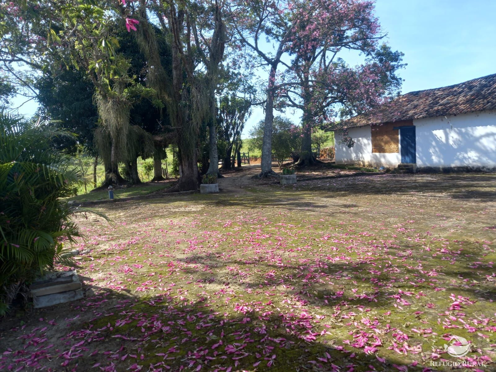 Fazenda à venda com 3 quartos, 338800m² - Foto 4