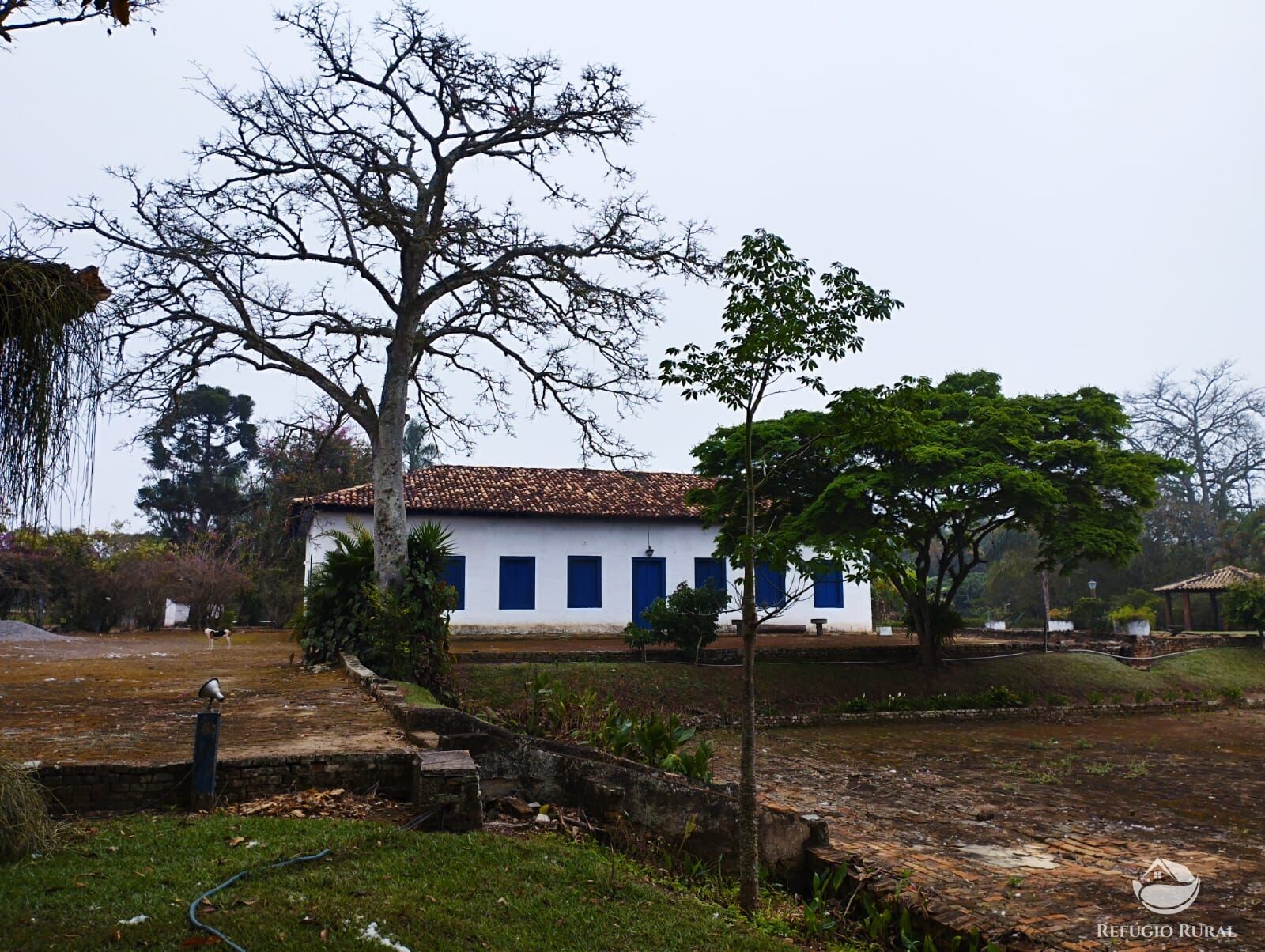 Fazenda à venda com 3 quartos, 338800m² - Foto 2