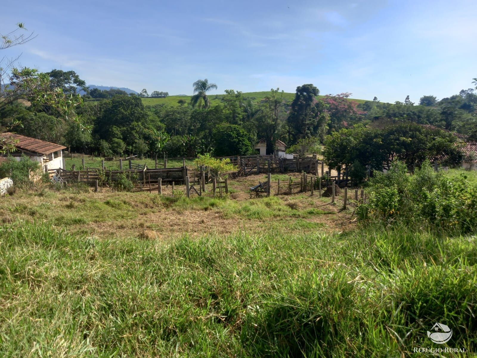 Fazenda à venda com 3 quartos, 338800m² - Foto 32