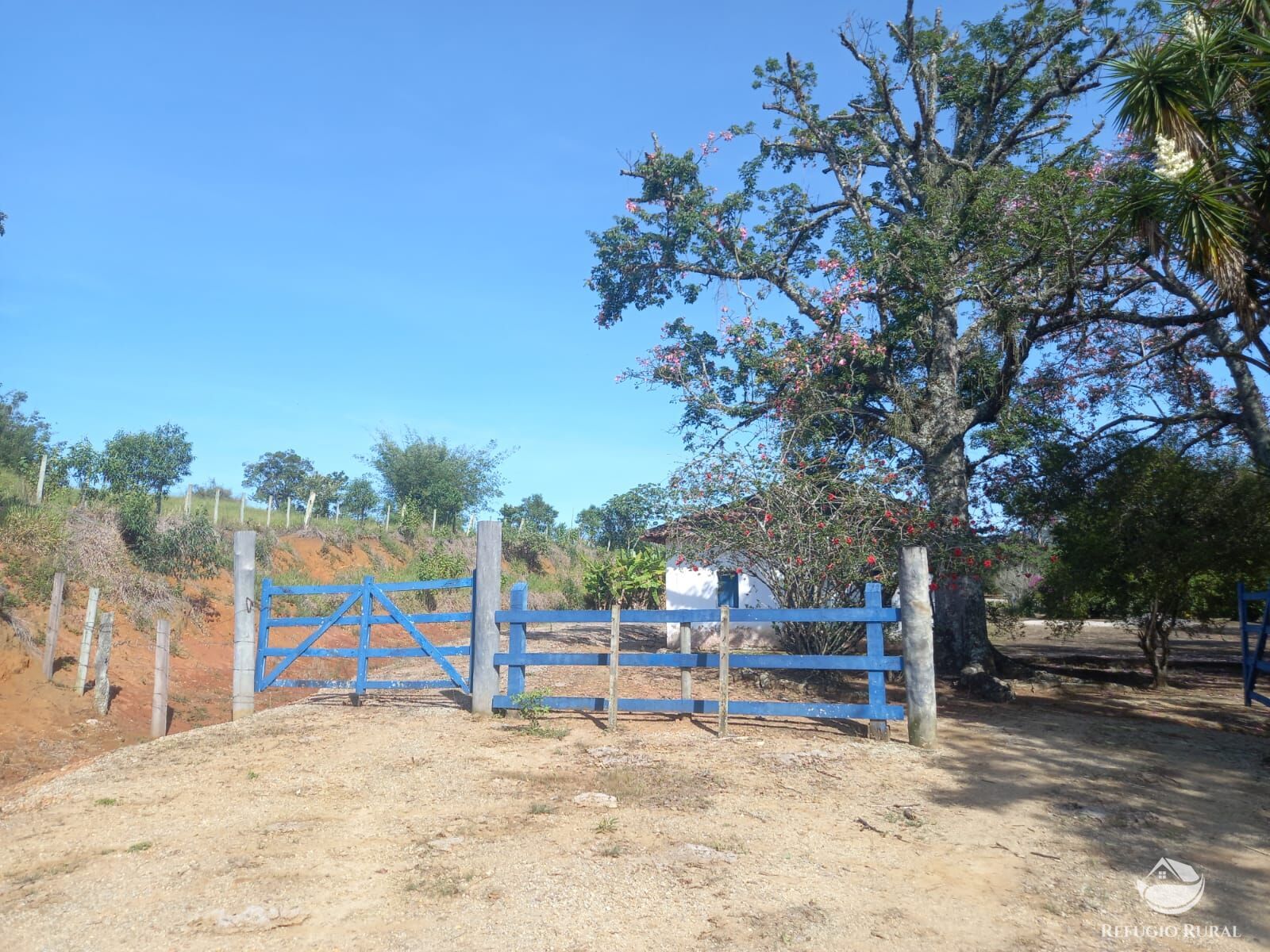 Fazenda à venda com 3 quartos, 338800m² - Foto 29