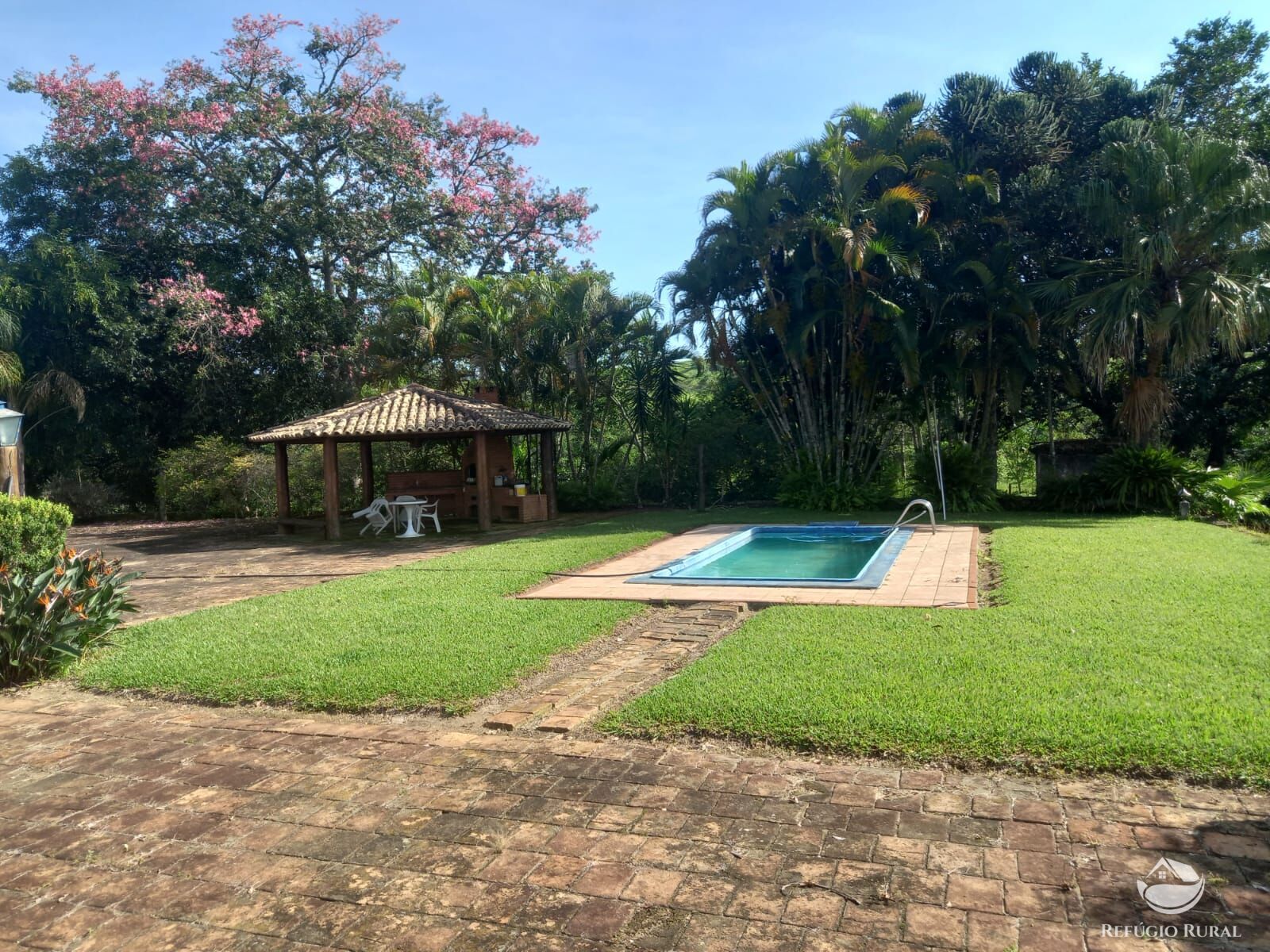 Fazenda à venda com 3 quartos, 338800m² - Foto 7