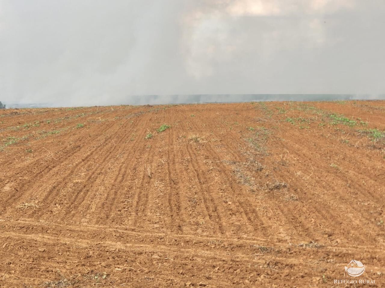 Fazenda à venda com 4 quartos, 37500000m² - Foto 9