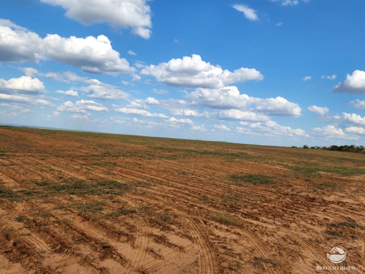 Fazenda à venda com 4 quartos, 37500000m² - Foto 3