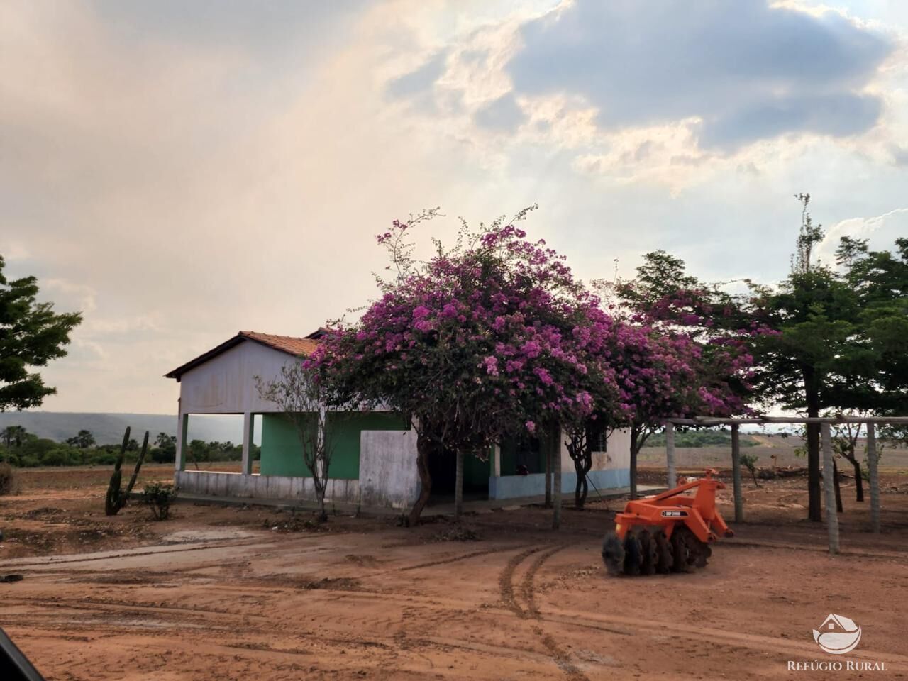 Fazenda à venda com 4 quartos, 37500000m² - Foto 6