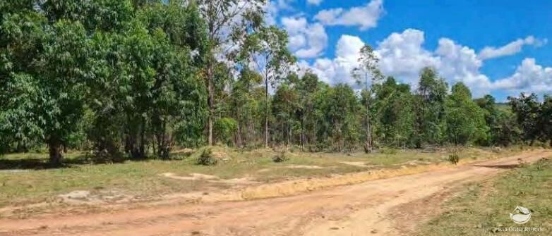 Fazenda à venda com 4 quartos, 37500000m² - Foto 12