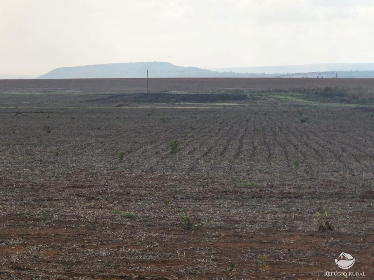 Fazenda à venda com 4 quartos, 37500000m² - Foto 7