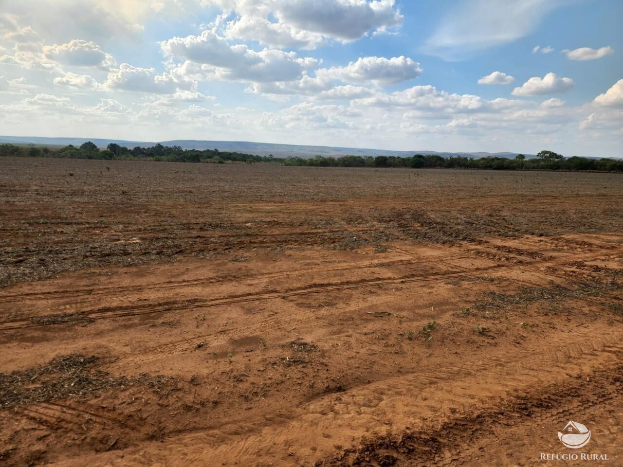 Fazenda à venda com 4 quartos, 37500000m² - Foto 5