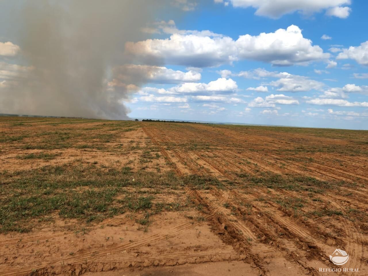 Fazenda à venda com 4 quartos, 37500000m² - Foto 4