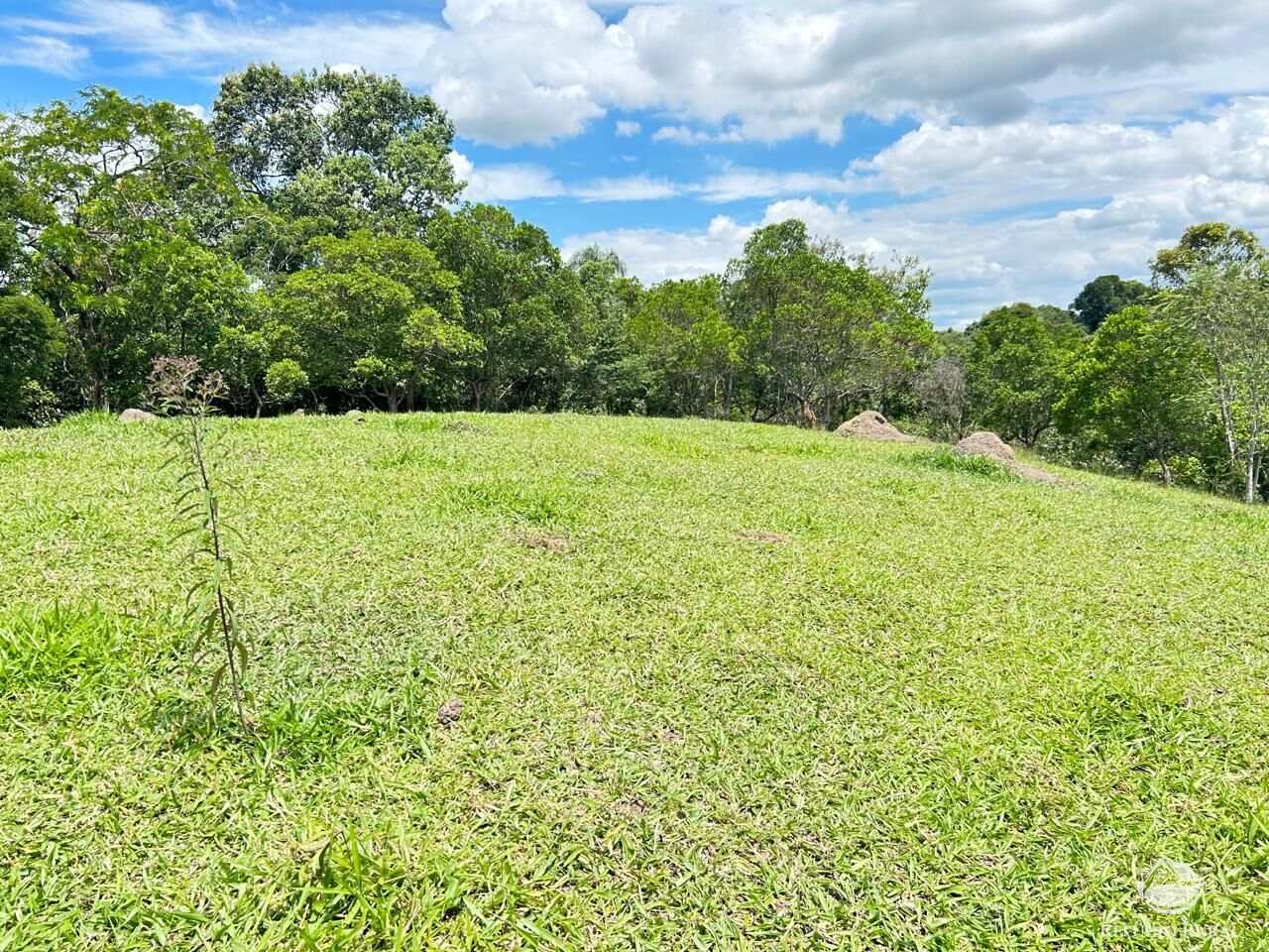 Fazenda à venda com 2 quartos, 240600m² - Foto 40