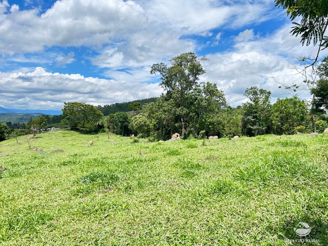 Fazenda à venda com 2 quartos, 240600m² - Foto 39