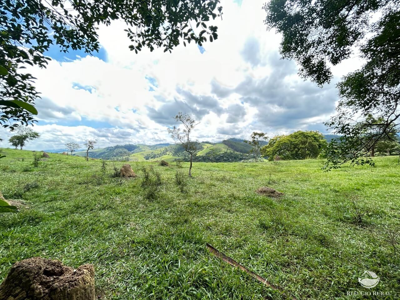 Fazenda à venda com 2 quartos, 240600m² - Foto 48