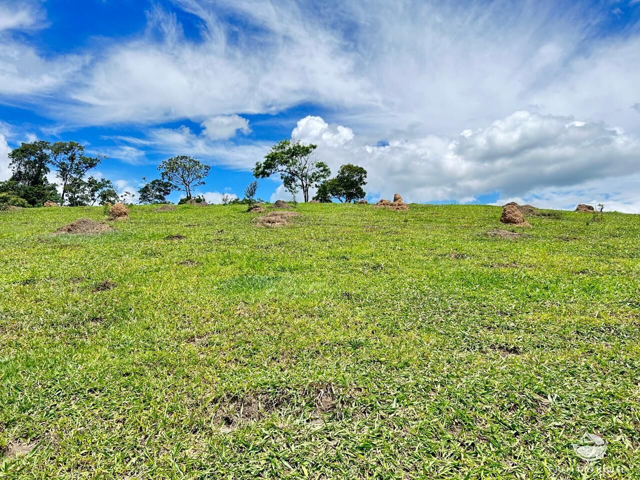 Fazenda à venda com 2 quartos, 240600m² - Foto 33