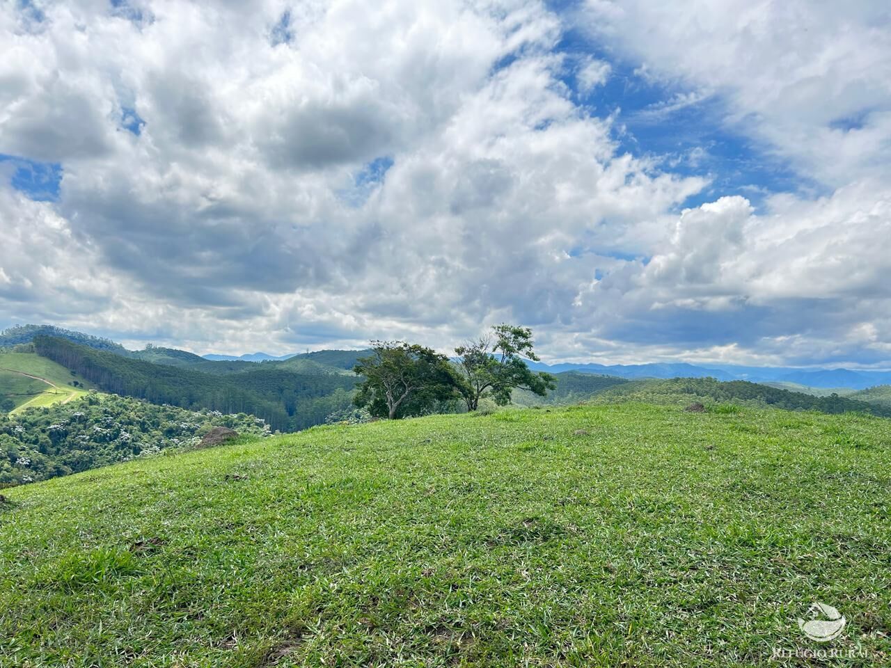 Fazenda à venda com 2 quartos, 240600m² - Foto 45