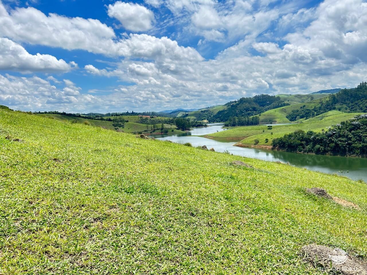 Fazenda à venda com 2 quartos, 240600m² - Foto 35