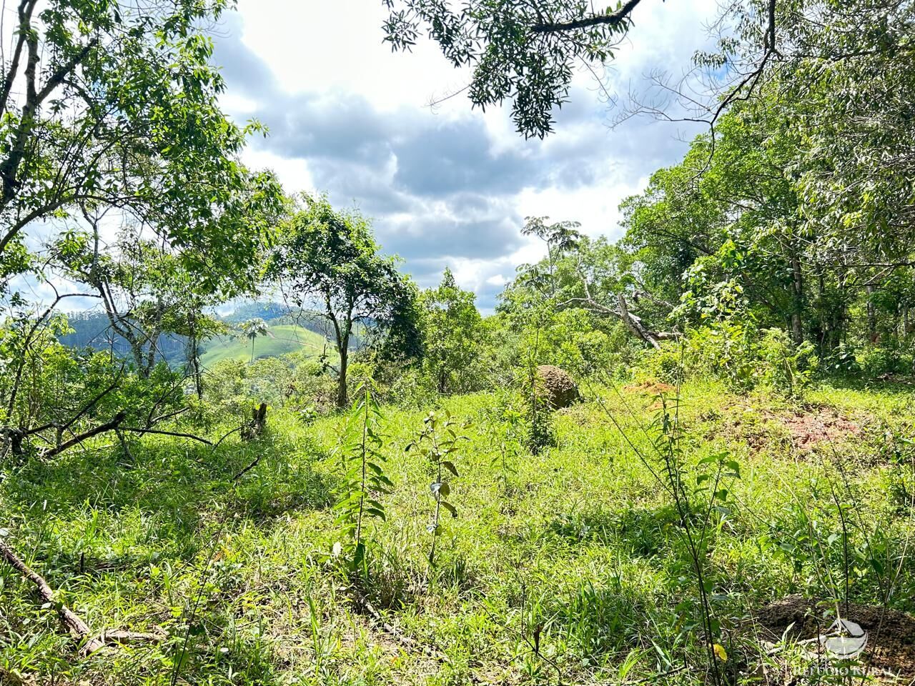 Fazenda à venda com 2 quartos, 240600m² - Foto 49