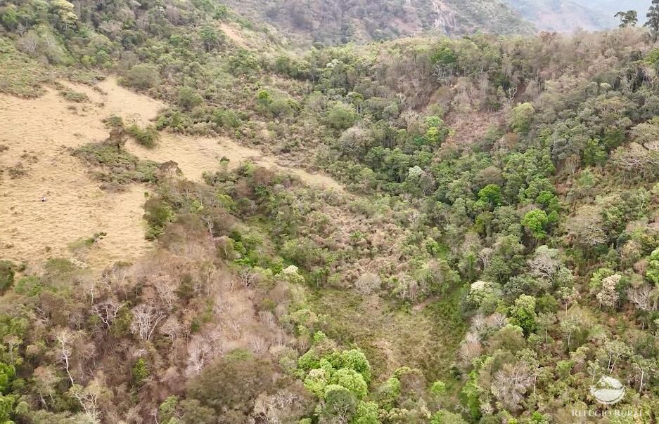 Terreno, 73 hectares - Foto 3