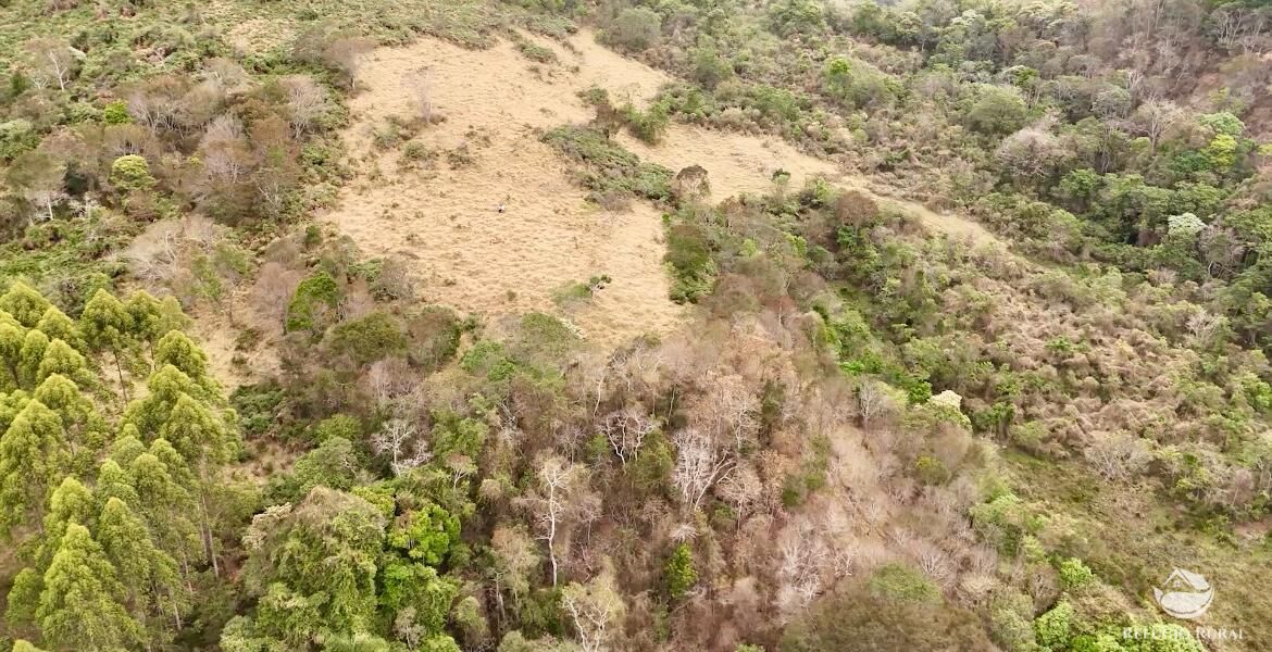 Terreno, 73 hectares - Foto 4