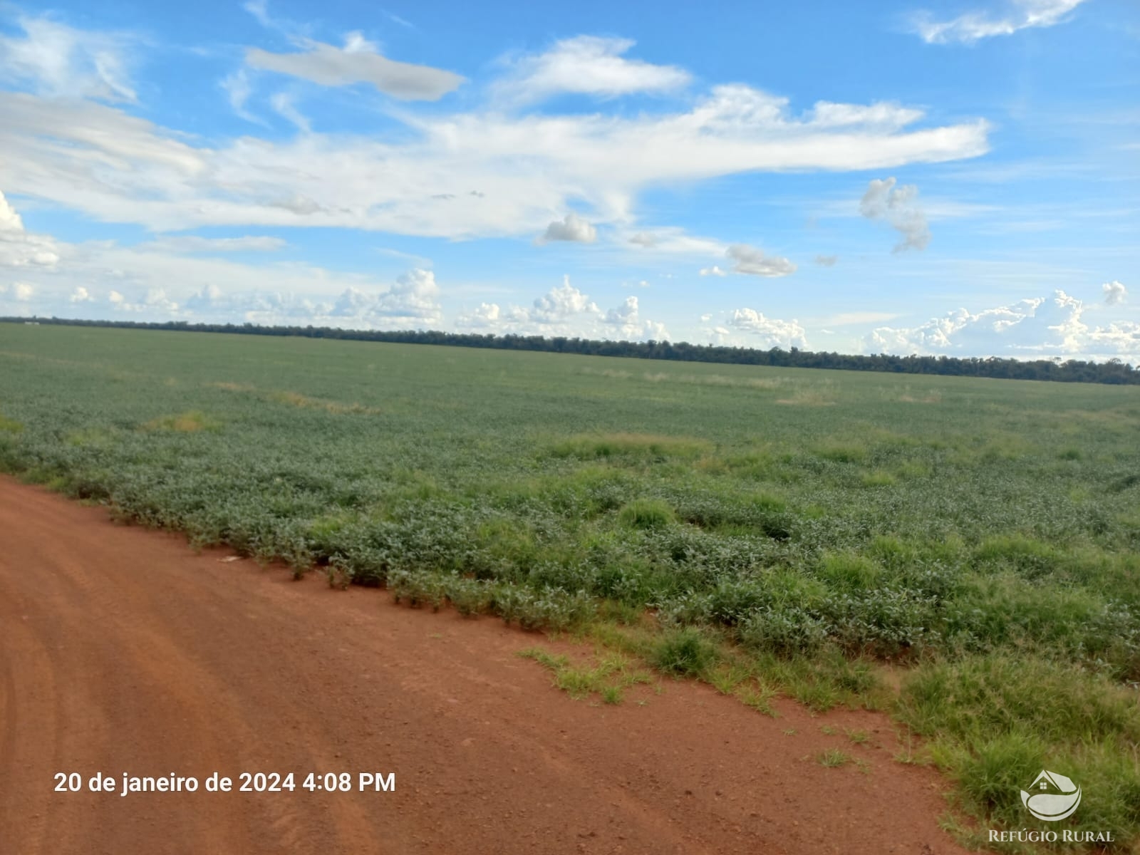 Fazenda à venda com 1 quarto, 12600000m² - Foto 11