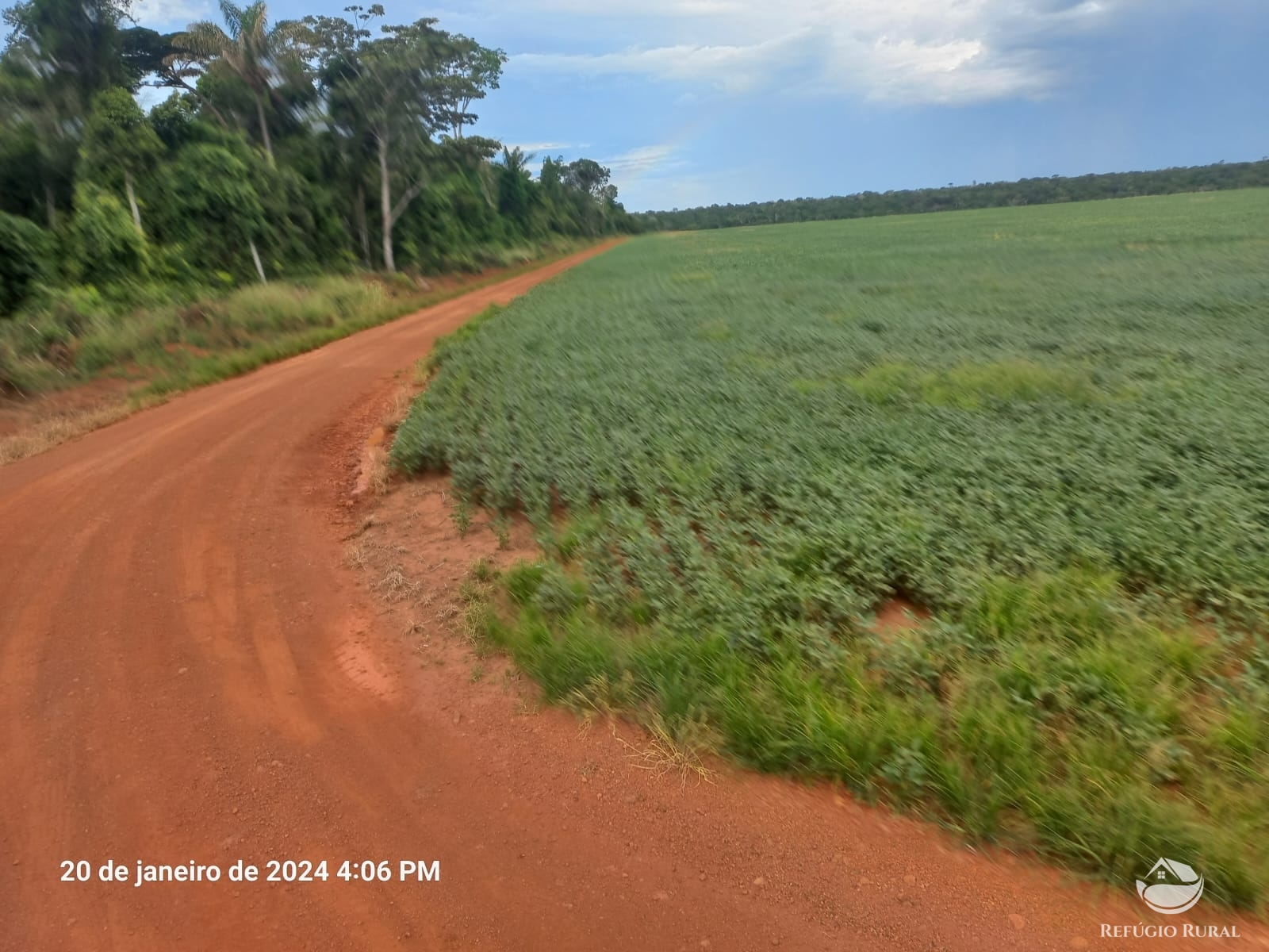 Fazenda à venda com 1 quarto, 12600000m² - Foto 2