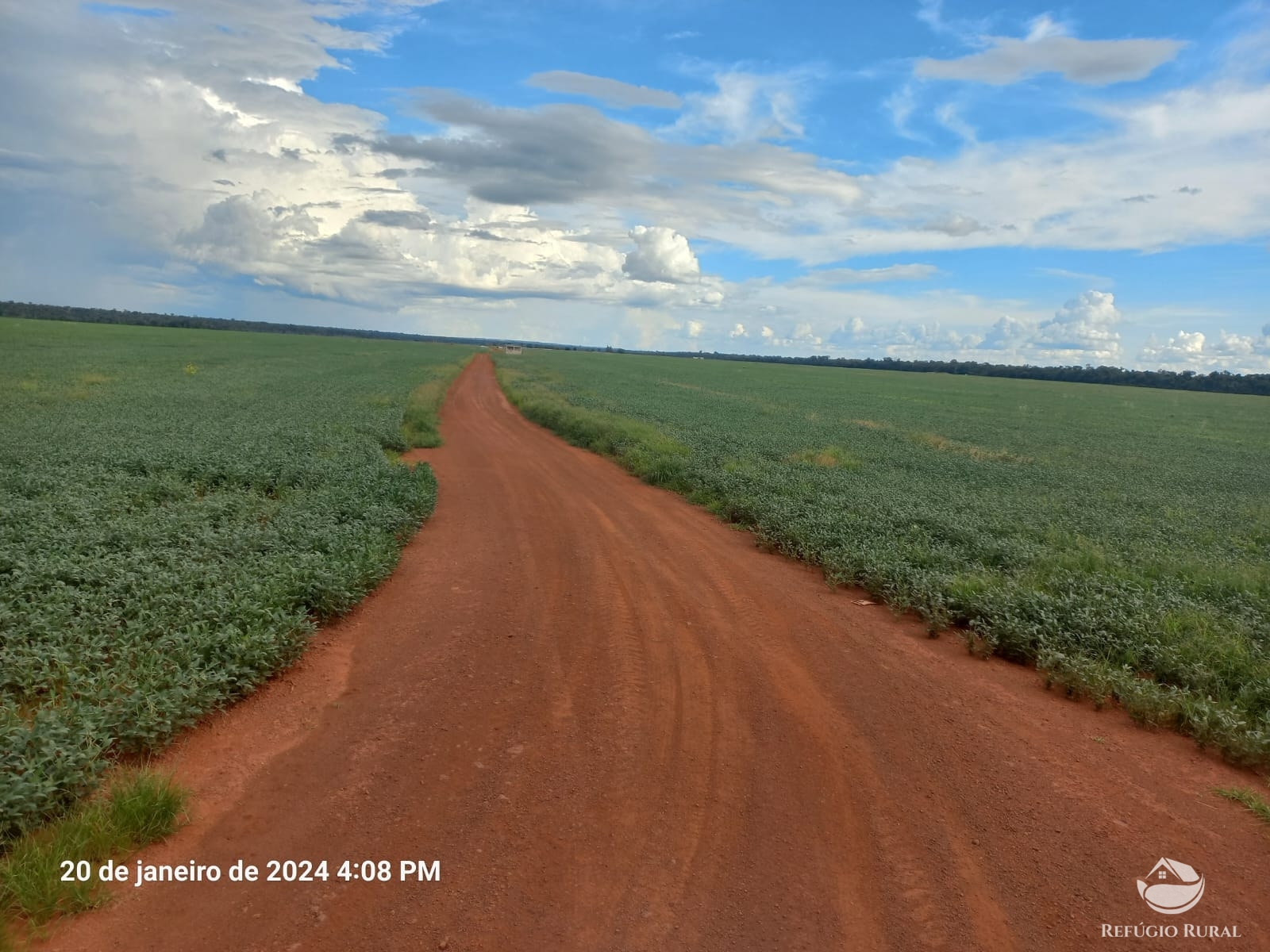 Fazenda à venda com 1 quarto, 12600000m² - Foto 8