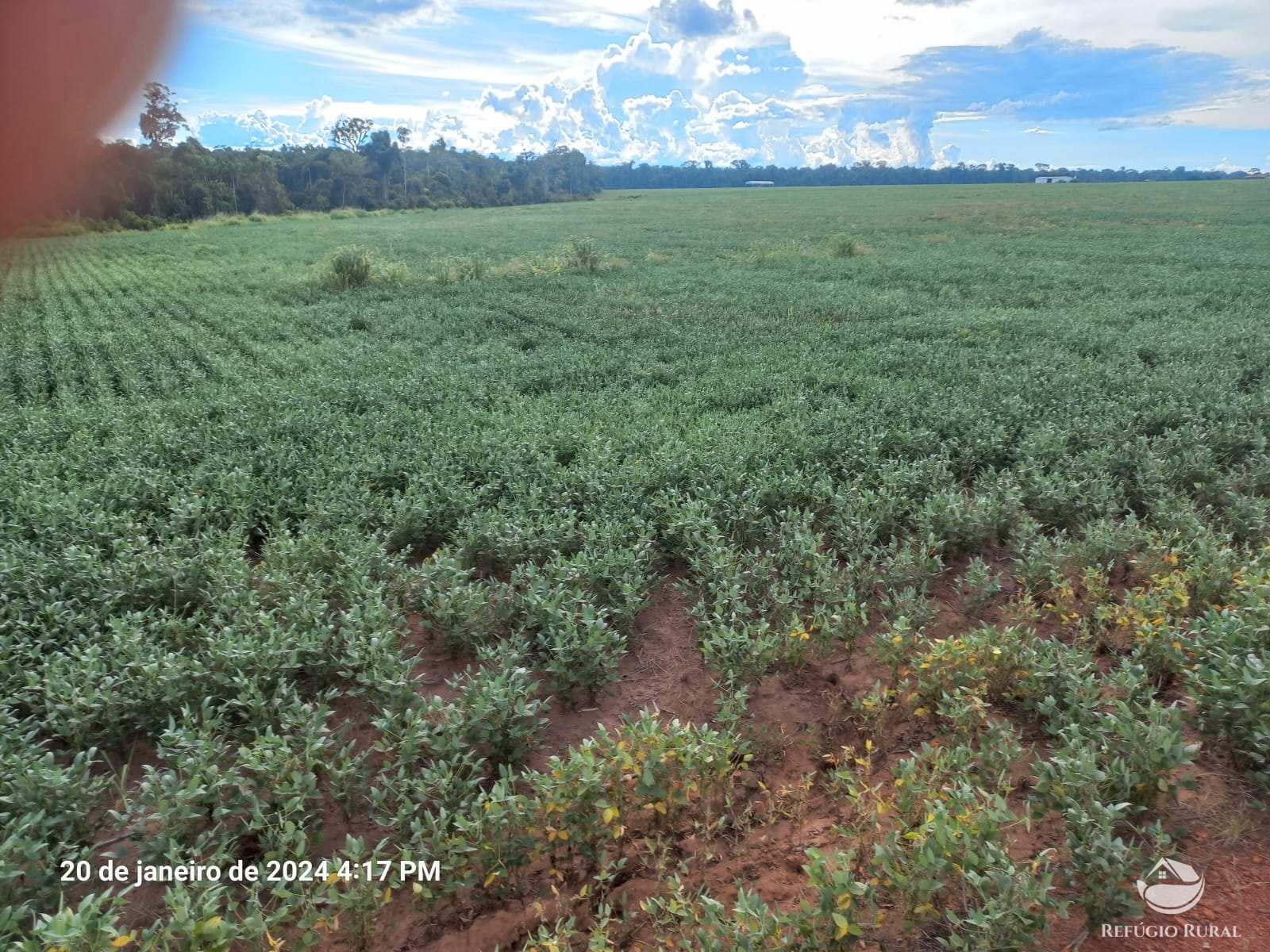 Fazenda à venda com 1 quarto, 12600000m² - Foto 10