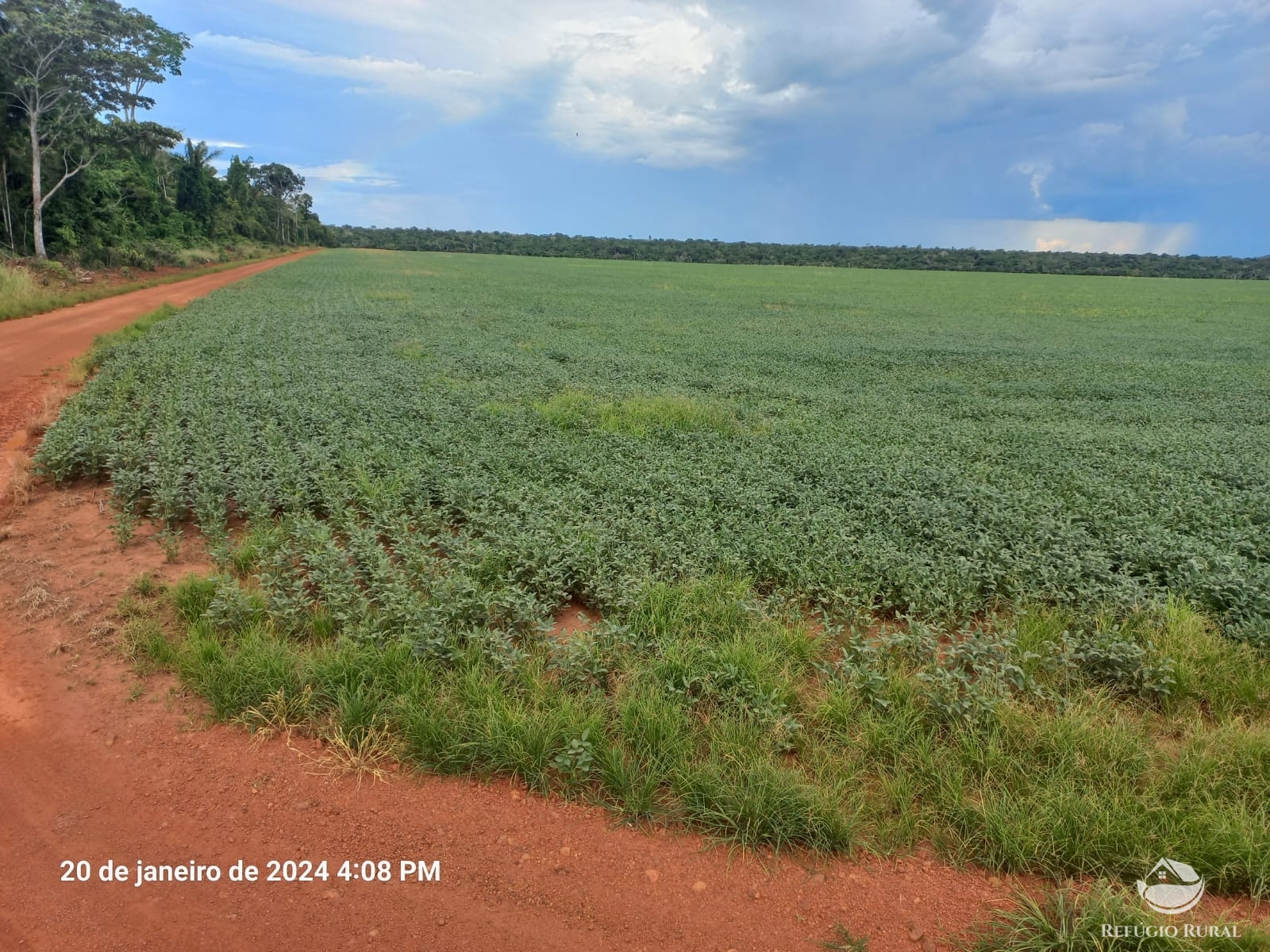 Fazenda à venda com 1 quarto, 12600000m² - Foto 5