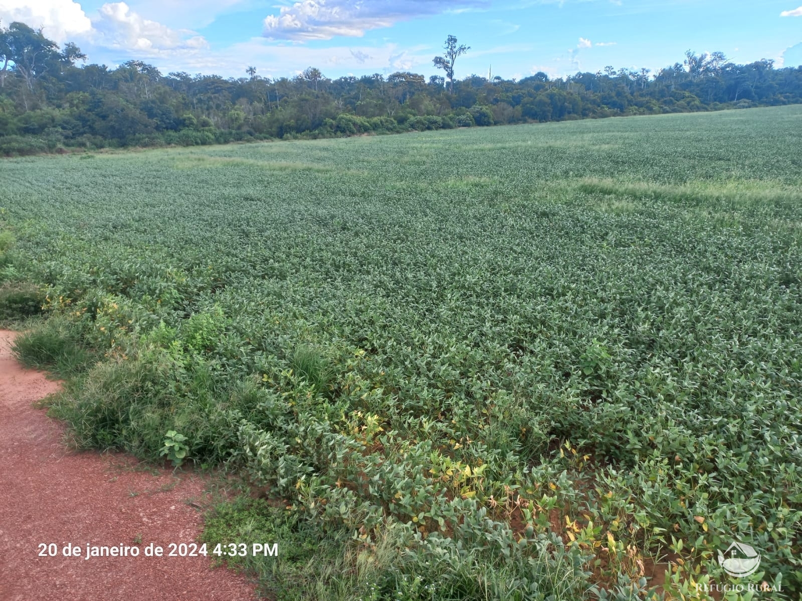 Fazenda à venda com 1 quarto, 12600000m² - Foto 1