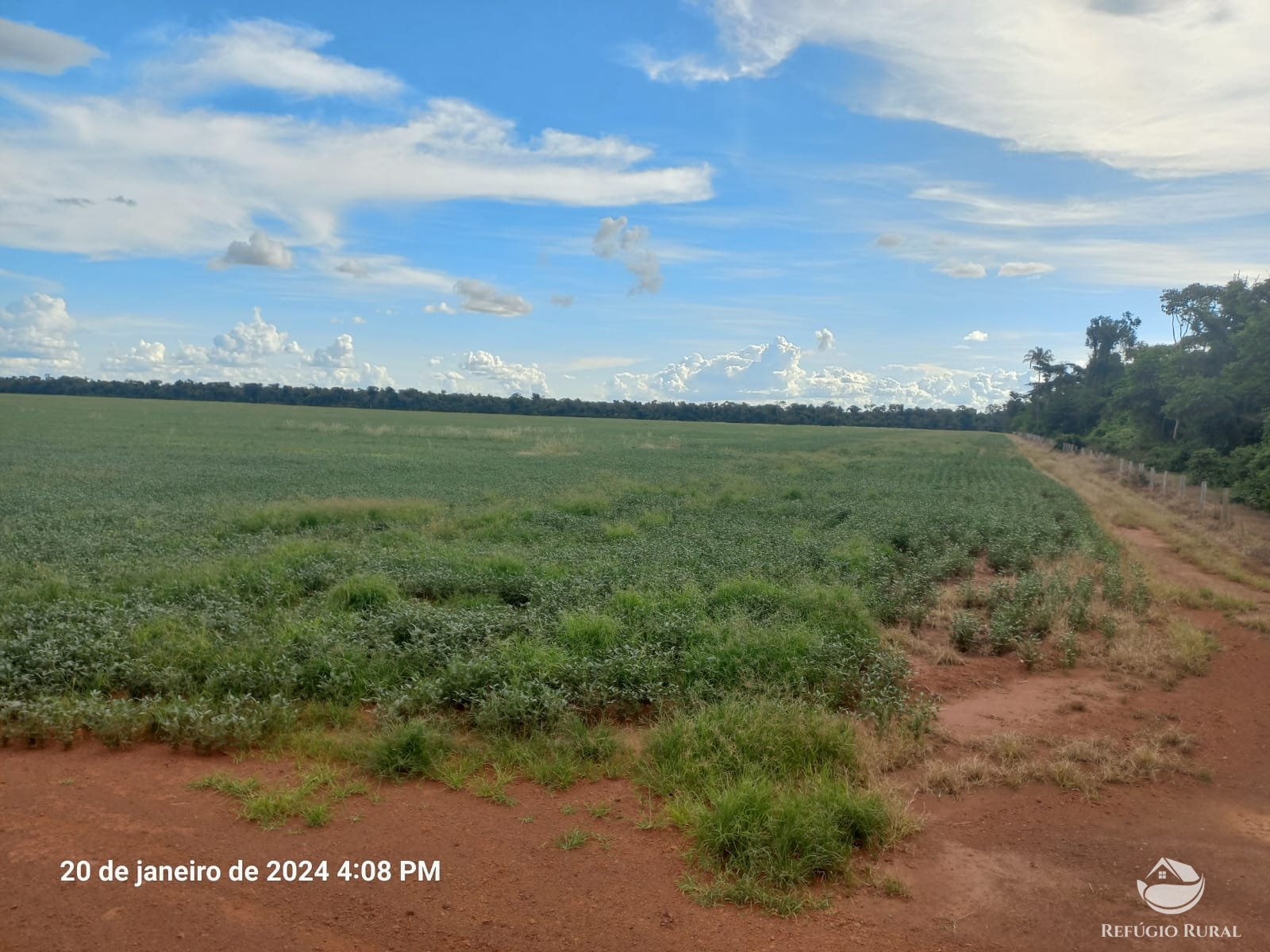 Fazenda à venda com 1 quarto, 12600000m² - Foto 9