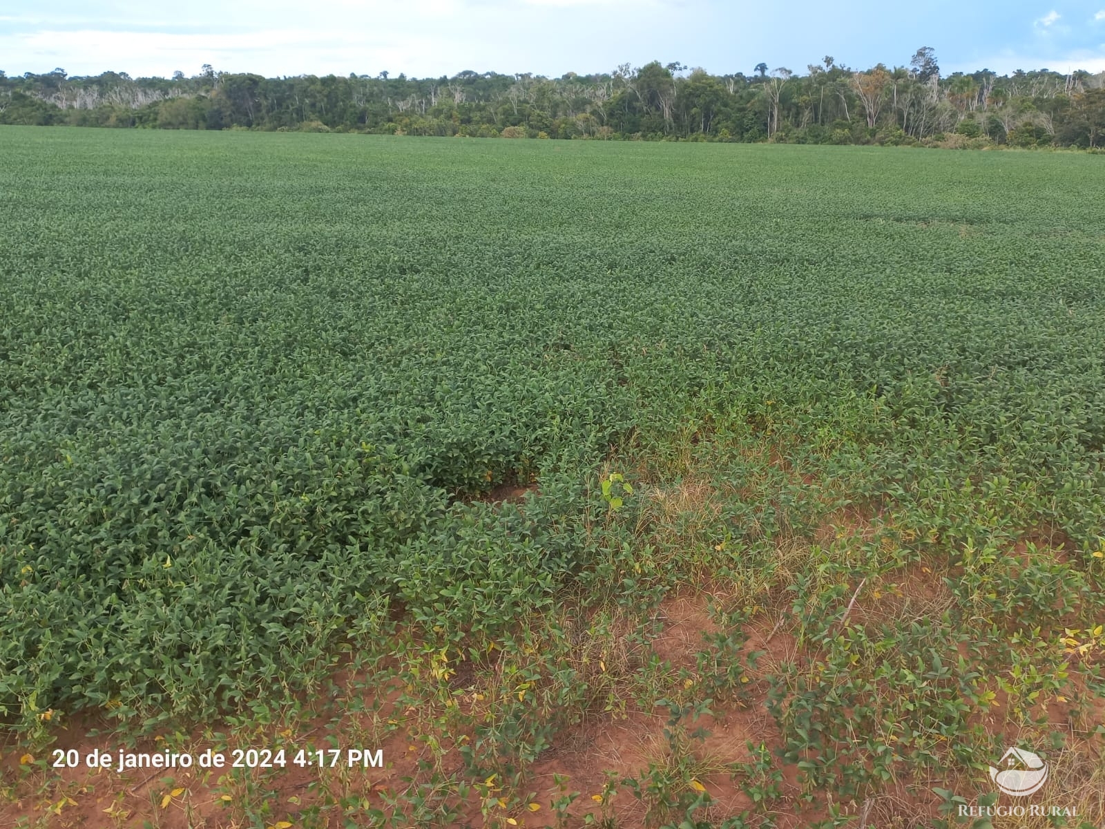 Fazenda à venda com 1 quarto, 12600000m² - Foto 6