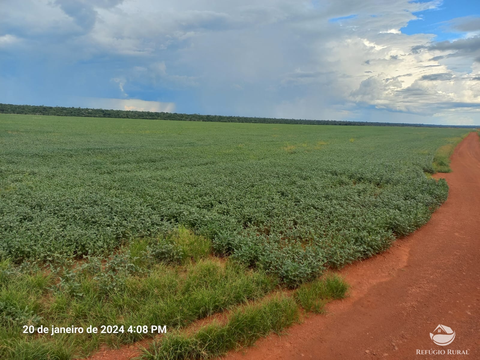 Fazenda à venda com 1 quarto, 12600000m² - Foto 7