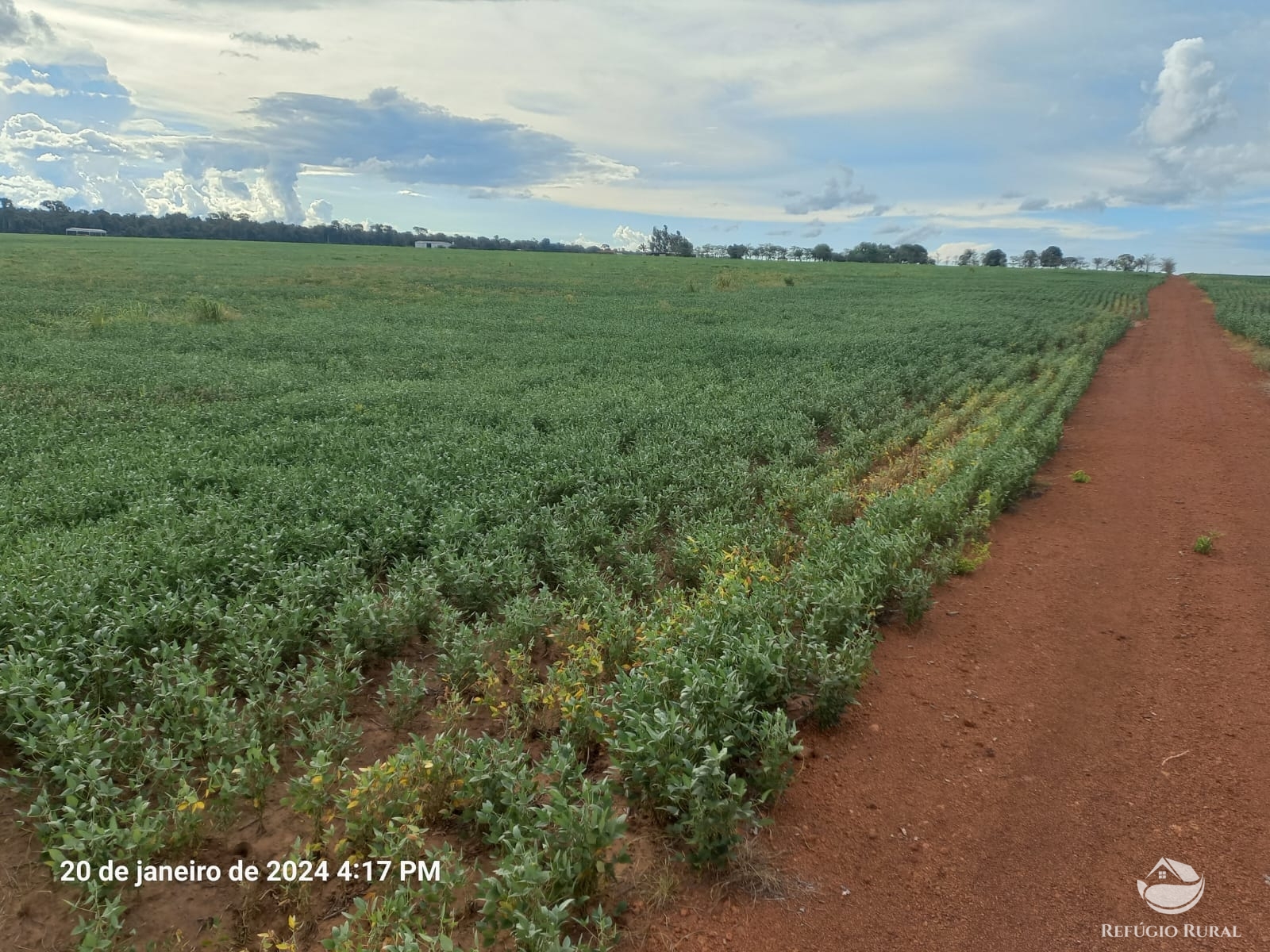 Fazenda à venda com 1 quarto, 12600000m² - Foto 4