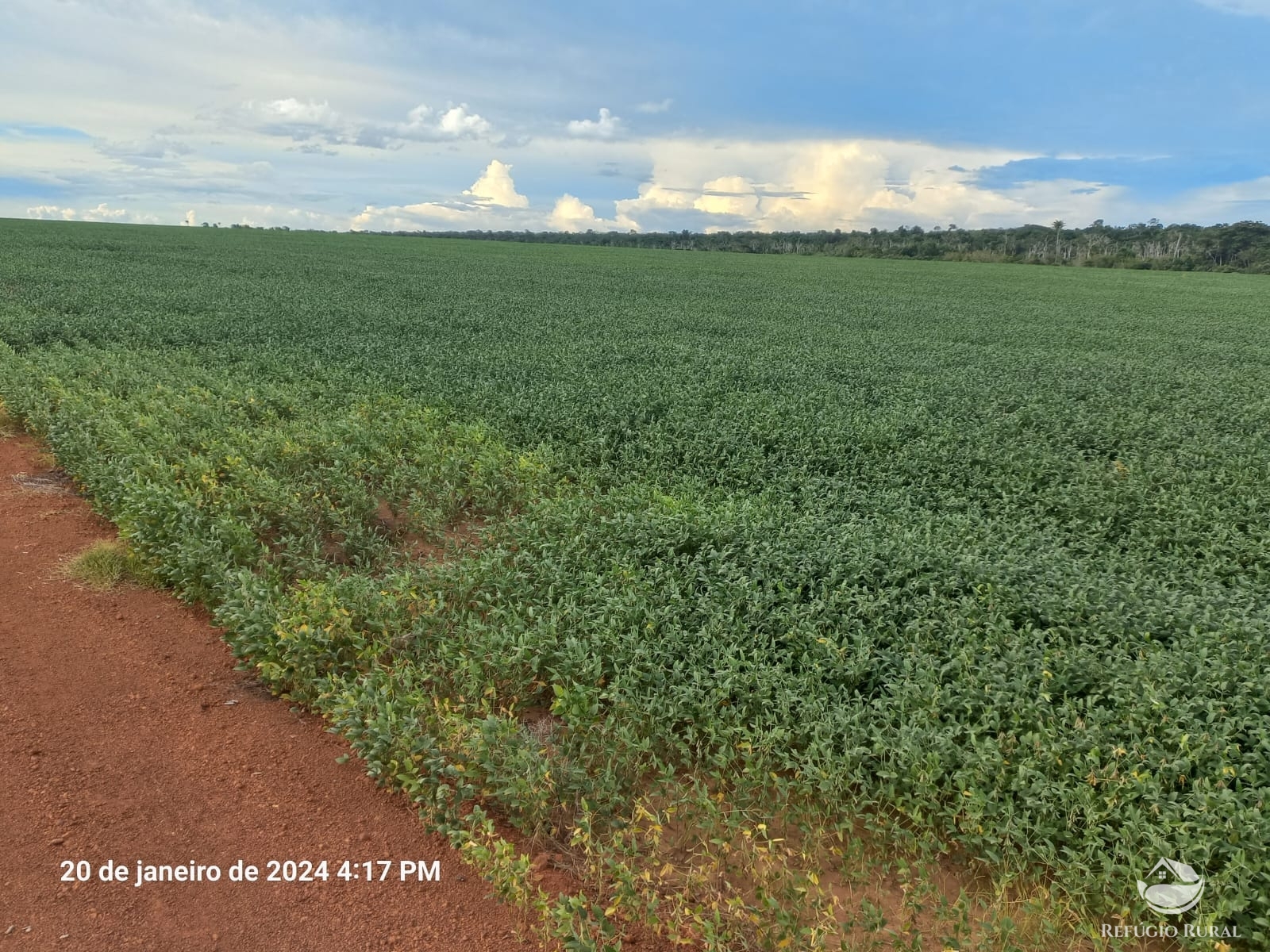 Fazenda à venda com 1 quarto, 12600000m² - Foto 3