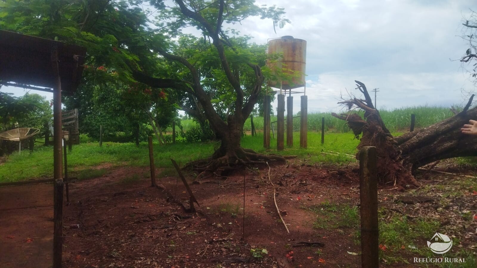 Fazenda à venda com 2 quartos, 293900m² - Foto 24