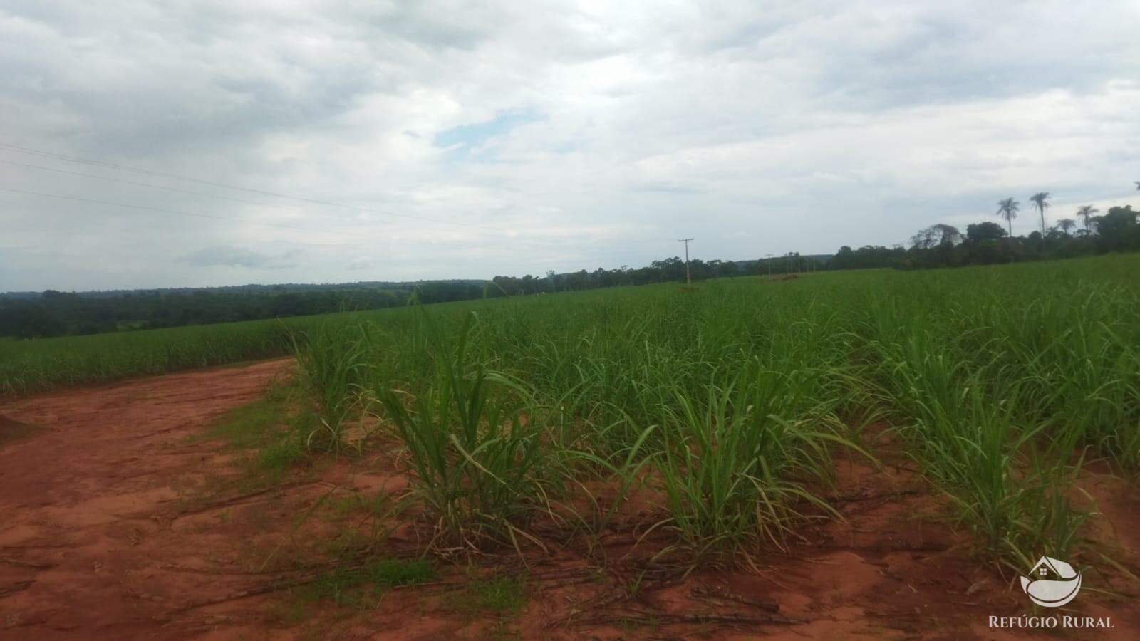 Fazenda à venda com 2 quartos, 293900m² - Foto 36